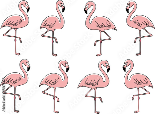Pink flamingo vector illustration set with elegant standing poses in flat cartoon style isolated on white