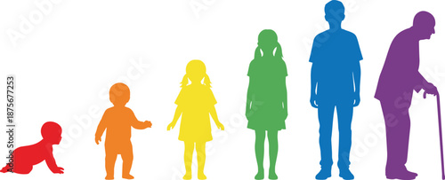 Human life stages silhouette illustration from baby to elderly person, aging process concept, childhood, adulthood and senior age progression, colorful people figures