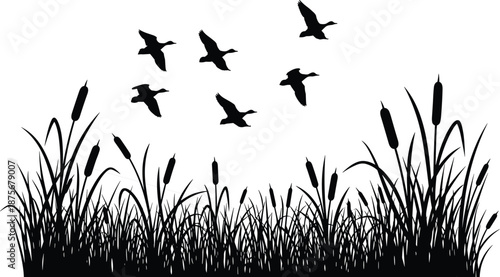 Wetland, Bird, Silhouette, Nature, Flight, Grass, Cattail, Wildlife, Scene, Marsh, Ducks, Geese, Sky, Vector, Black, Habitat, Migration, Landscape, Illustration, Design
