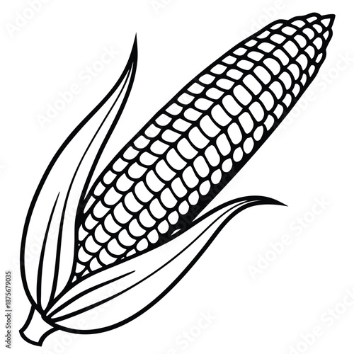 corn-isolated-on-pure-white-background.eps