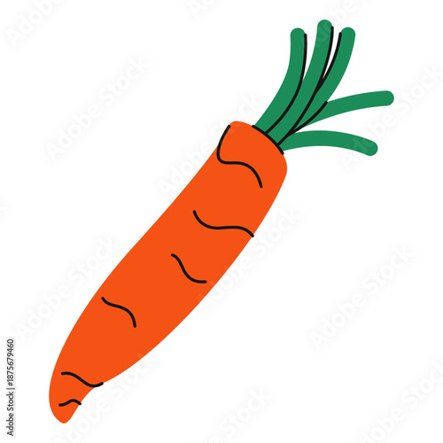 Dog carrot toy. Cute doggy plush toy accessories for chewing and playing cartoon flat style, pet shop stuff for adult dogs and puppies. Vector illustration