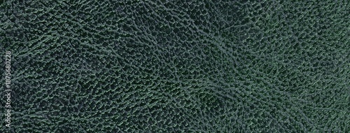 Slika na platnu Dark green faux leather texture background with embossed reptile skin pattern