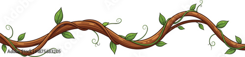 Tropical jungle vine vector illustration featuring a long winding brown branch with green leaves and curly tendrils isolated on white background for nature borders