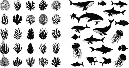 Underwater marine silhouettes collection featuring whales, dolphins, sharks, jellyfish, seaweed, and coral branches in black and white for graphic design, isolated.