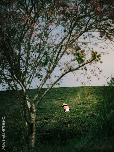 The majestic landscape features endless rows of tea plants stretching across the misty highlands of Northwest Vietnam.