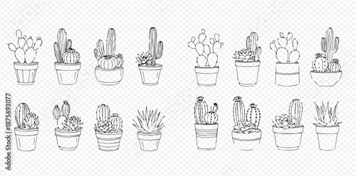 Set of hand-drawn succulent plants and various cacti in pots, outline sketch collection.