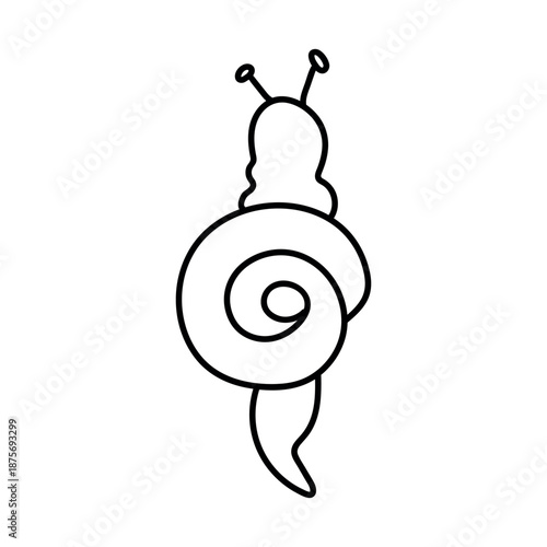 Single hand drawn snail. Top view. Vector illustration in doodle style. Isolate on a white background.