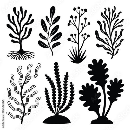 collection of various seaweed and aquatic plant silhouettes on white background