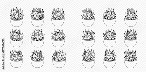Monochrome hand-drawn succulent plants in pots, perfect for nature-inspired designs and botanical illustrations.