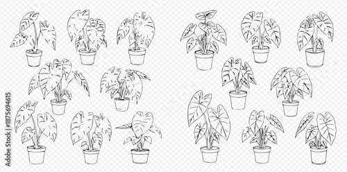 Set of potted house plants, line art vector illustration of various indoor greenery in pots, black and white outline drawing for home decor.