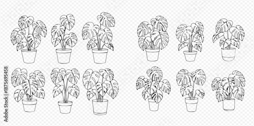 Set of outline Monstera Deliciosa plants in pots, houseplant illustrations for home decor and gardening.