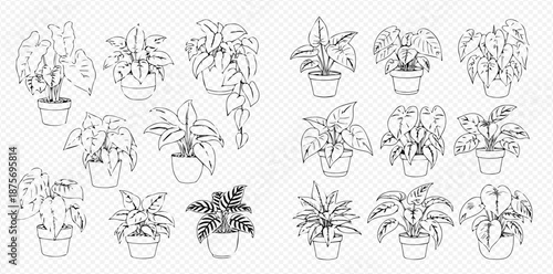 Set of various potted houseplants in black and white outline for home decor and gardening concepts.