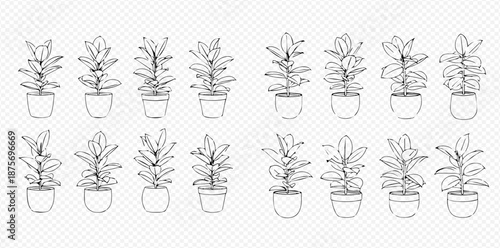 Set of hand-drawn potted house plants, black and white line art illustration.