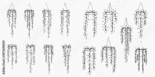 Set of black and white hanging flower pots with plants, vector illustration isolated on transparent background.