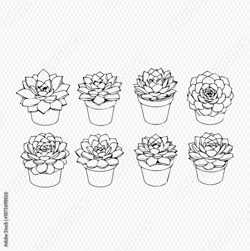 Set of eight hand-drawn succulent plants in pots, black and white outline illustration.