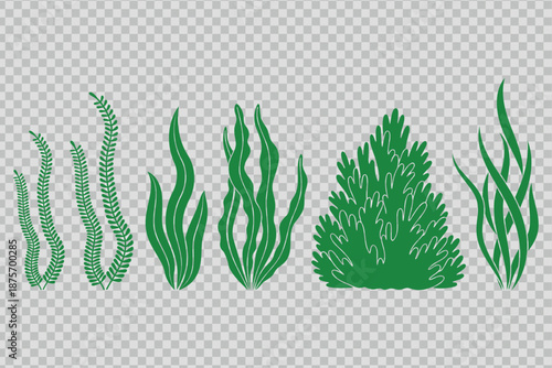 Green seaweed collection vector illustration