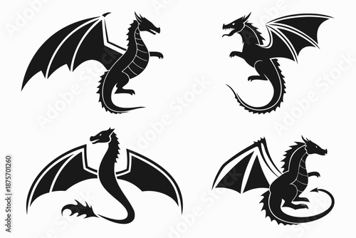 Placeholder image display