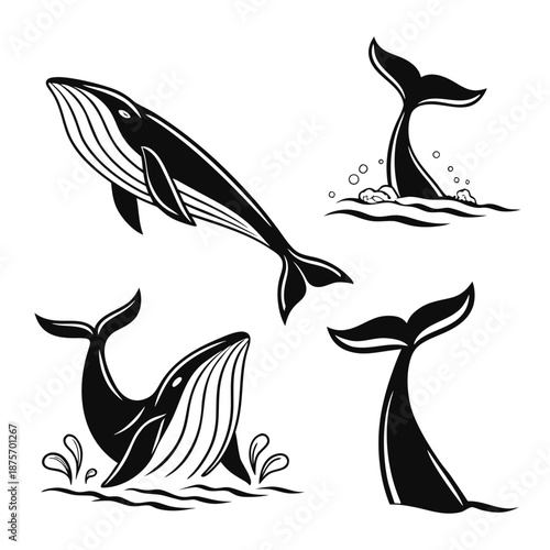 Empty vector file display