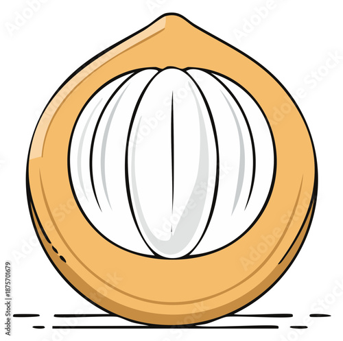 Simple vector illustration of a halved coconut showing the white flesh