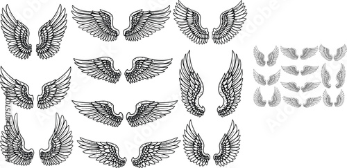 Angel wings hand drawn. Sketch bird line wing collection. Elements for logo, label or tattoo. Vintage item. Creative badge, emblem or label decor. Black outline vector isolated 
