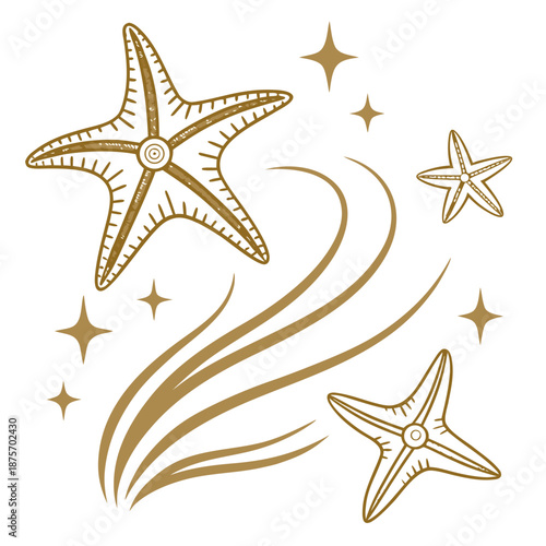 sea star vector illustration