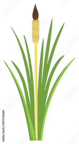 Stylized Cattail Plant with Broad Green Leaves and Brown Seed Head