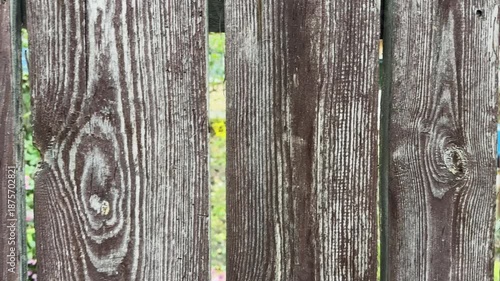 Surface of old wooden fence made with roughly handled planks