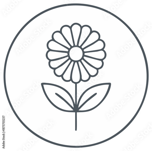 Simple flower icon in a circle outline botanical illustration for design
