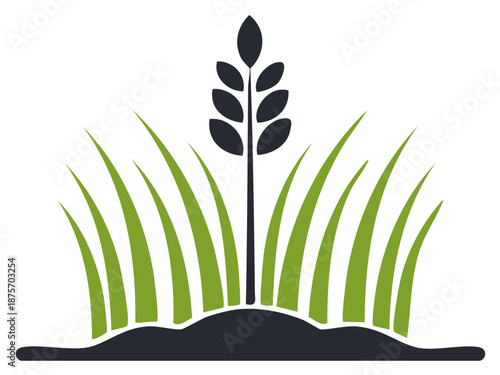Wheat Stalk and Grass Illustration Agricultural Field Graphic Crop Harvest Design