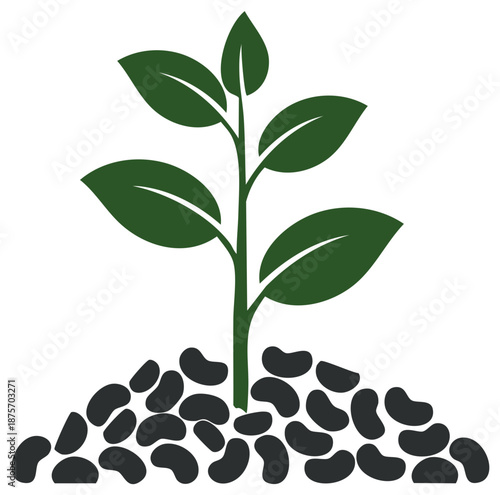 Green seedling growing from a pile of dark beans symbolizing growth and agriculture