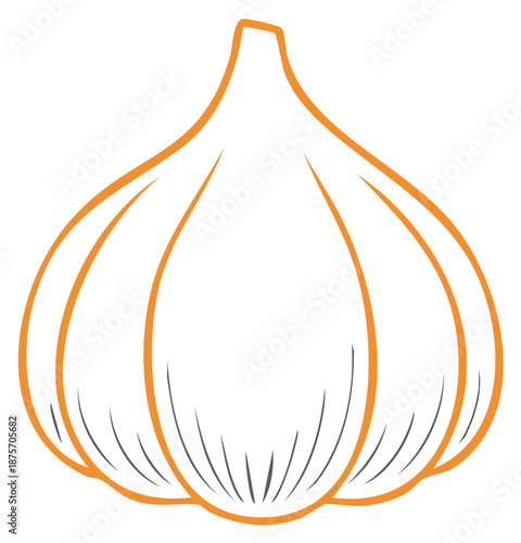 Simple Garlic Head Line Drawing Vegetable Ingredient Flavoring
