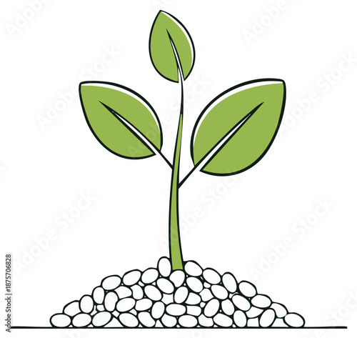 Sprouting Seedling Rises from Heap of Seeds, Symbolic of Growth and Potential