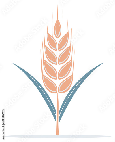Stylized wheat ear with blades on white, farming agriculture simple harvest, cereal grain crop, ingredient