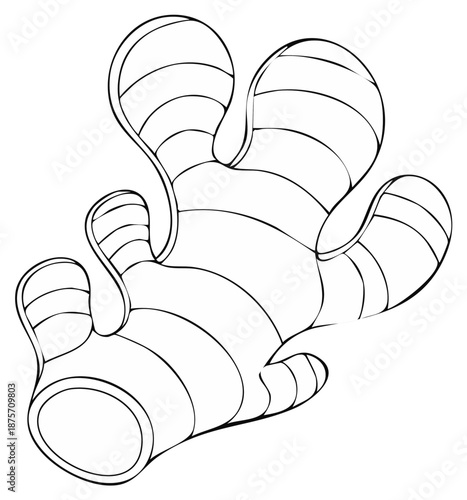 Ginger root cartoon illustration, outline design element