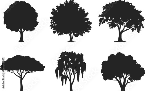 Tree silhouette set collection, different forest and park trees shapes, black vector illustration isolated on white background