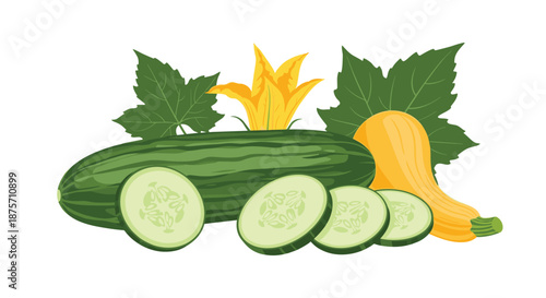 Fresh cucumber slices and whole squash with green leaves and a yellow flower arranged for healthy vegetarian food concept.