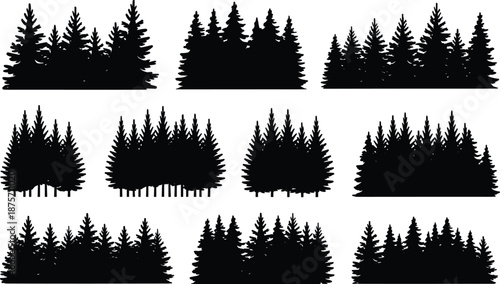 Conifer tree silhouettes, pine clusters, evergreen shapes, forest icons, black vector illustration, nature design, outdoor elements, grouped trees, landscape art