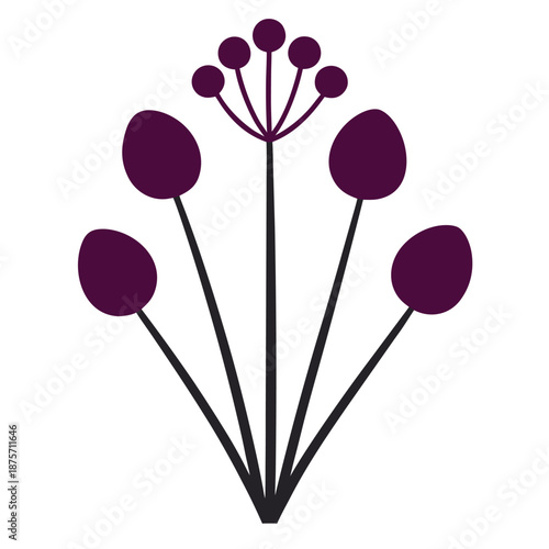 allium schoenoprasum silhouette on white