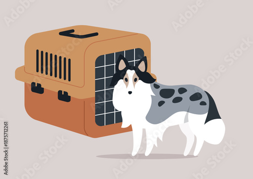 A lively Sheltie dog stands next to an orange and black pet carrier, showcasing an ideal set for transporting beloved animals while ensuring comfort and safety during travels