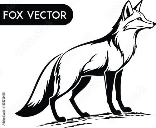 vector illustration of a wolf