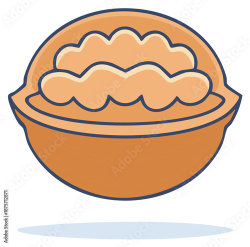 Illustration of Halved Brown Walnut with Edible Kernel, Healthy Nutritious Food