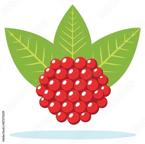 Fresh red raspberry fruit with green leaves, a simple flat vector graphic illustration