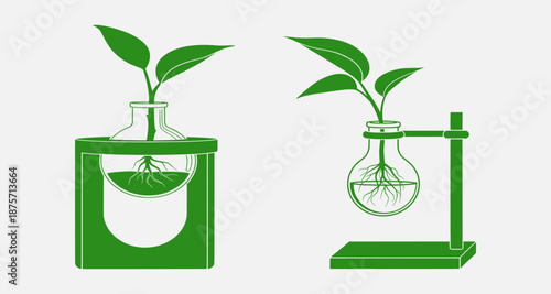 Illustration of plants growing in laboratory equipment from a scientific viewpoint