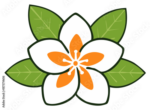 Stylized white flower with vibrant orange center and green leaves botanical vector illustration