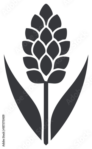 Hops Bud Illustration Plant with Leaves Botanical Shape