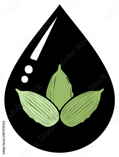 Cardamom Pods in Black Oil Drop Design Herbs and Spices Aromatic Vector Green