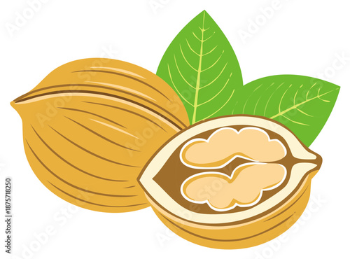 Walnut halves vector image, nutmeat and green leaves, vegan nutrition symbol