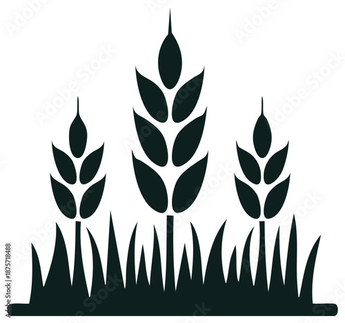 Dark silhouette of three mature wheat stalks and growing grass farming icon vector
