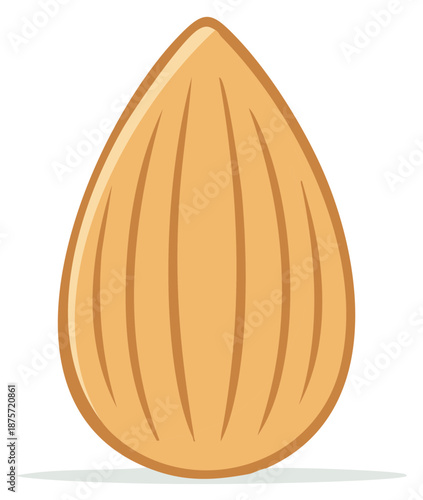 Cartoon illustration of a single almond, food icon, healthy eating concept