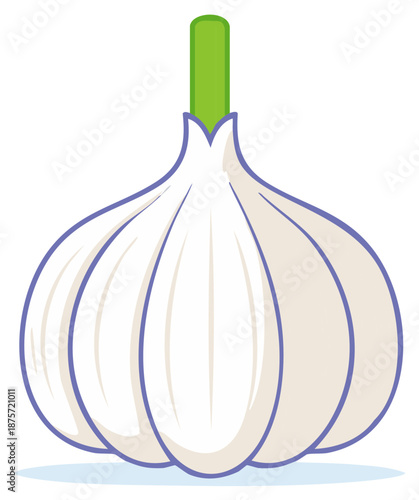 Illustration of a single fresh garlic bulb with a green stem